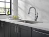 DELTA Leland Single Handle Pull-Down Kitchen Faucet with ShieldSpray Technology — Arctic Stainless