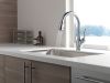 DELTA Leland Single Handle Pull-Down Kitchen Faucet with ShieldSpray Technology — Arctic Stainless