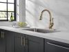 DELTA Leland Single Handle Pull-Down Kitchen Faucet with ShieldSpray Technology — Champagne Bronze