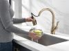 DELTA Leland Single Handle Pull-Down Kitchen Faucet with ShieldSpray Technology — Champagne Bronze
