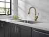 DELTA Leland Single Handle Pull-Down Kitchen Faucet with ShieldSpray Technology — Champagne Bronze
