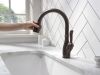 DELTA Leland Single Handle Pull-Down Kitchen Faucet with ShieldSpray Technology — Venetian Bronze