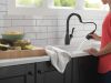 DELTA Leland Single Handle Pull-Down Kitchen Faucet With Touch2O Technology And ShieldSpray Technologies — Matte Black