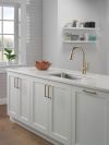 DELTA Emmeline Single Handle Pull-Down Kitchen Faucet — Lumicoat® Champagne Bronze