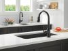 DELTA Broderick Single Handle Pull-Down Kitchen Faucet With Touch2O  Technology — Matte Black