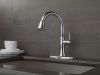 DELTA Cassidy Single Handle Pull-Down Kitchen Faucet — Lumicoat® Arctic Stainless