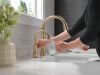 DELTA Other Traditional Instant Hot Water Dispenser — Champagne Bronze