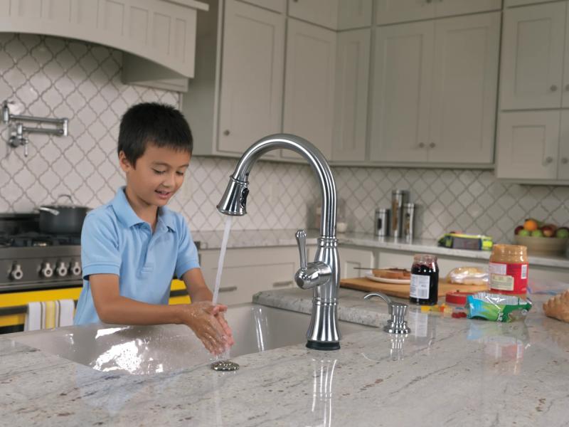 DELTA Other Traditional Wall Mount Pot Filler — Arctic Stainless