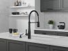 DELTA Essa Single-Handle Pull-Down Spring Kitchen Faucet — Matte Black