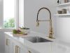DELTA Essa Single-Handle Pull-Down Spring Kitchen Faucet — Champagne Bronze