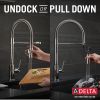 DELTA Trinsic Single-Handle Pull-Down Spring Kitchen Faucet — Chrome