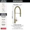 DELTA Trinsic Single-Handle Pull-Down Spring Kitchen Faucet — Polished Nickel