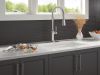 DELTA Renaldi Single-Handle Pull-Down Spring Kitchen Faucet — Lumicoat® Arctic Stainless