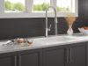DELTA Renaldi Single-Handle Pull-Down Spring Kitchen Faucet — Lumicoat® Arctic Stainless