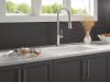 DELTA Renaldi Single-Handle Pull-Down Spring Kitchen Faucet — Lumicoat® Arctic Stainless