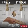 DELTA Broderick Single Handle Pull-Down Kitchen Faucet With Spring Spout — Champagne Bronze