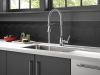 DELTA Broderick Single Handle Pull-Down Kitchen Faucet With Spring Spout — Chrome