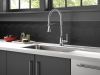 DELTA Broderick Single Handle Pull-Down Kitchen Faucet With Spring Spout — Chrome