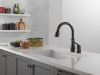 DELTA Leland Single Handle Pull-Down Kitchen Faucet — Matte Black