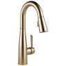 Champagne Bronze
