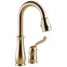 Champagne Bronze