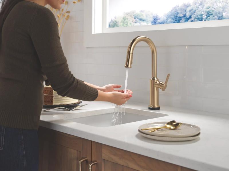 DELTA Cordova Touch2O Bar / Prep Faucet with Touchless Technology — Lumicoat® Champagne Bronze