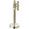 Polished Nickel