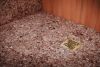 BRIZO 4" Square Drain Rough — Not Applicable