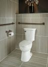 DELTA BathSafety 36" Traditional Decorative ADA Grab Bar — Venetian Bronze