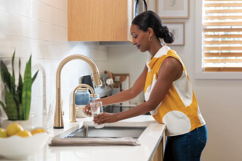 DELTA Clarifi 2-Stage Under Sink Advanced Water Filtration System — Not Applicable
