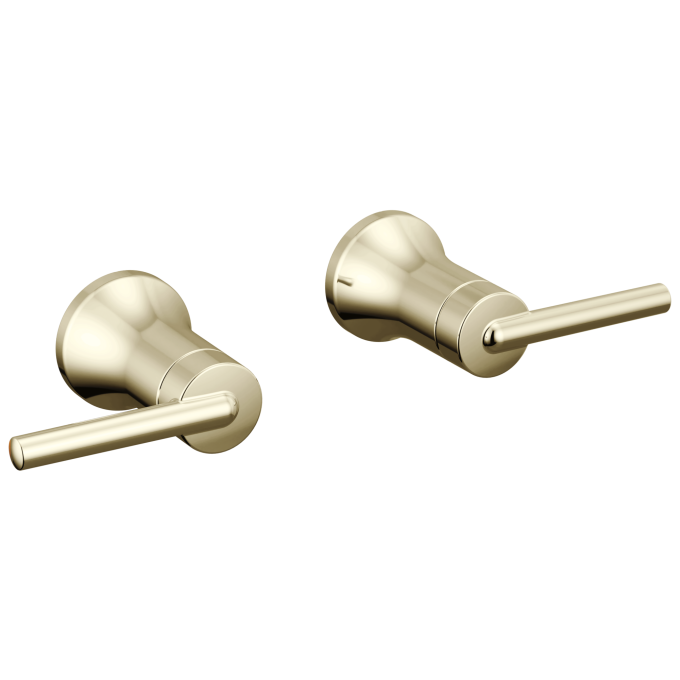 DELTA Trinsic Lever Handle -Wall Mount Lav — Polished Nickel