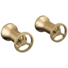 Champagne Bronze