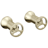 Polished Nickel