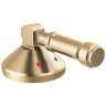 Lumicoat® Champagne Bronze