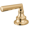 Polished Gold