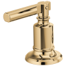 Polished Gold