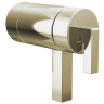 Polished Nickel
