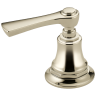 Polished Nickel
