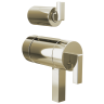 Polished Nickel