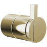 Polished Nickel