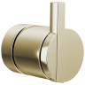 Polished Nickel