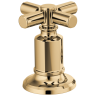 Polished Gold