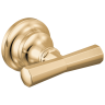 Polished Gold