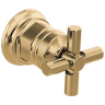 Polished Gold