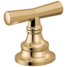 Polished Gold
