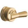 Polished Gold