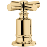 Polished Gold