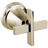 Polished Nickel