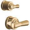 Polished Gold