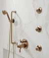 BRIZO Essential Shower Hydrachoice Max Round Body Spray Trim — Luxe Gold